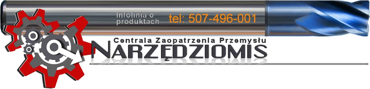 logo sklepu narzędziomis.pl